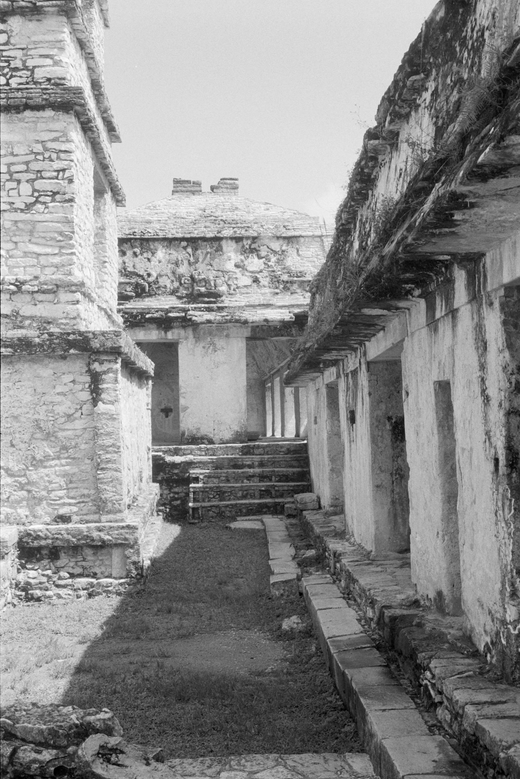 AHP FilmScan 240807 0658